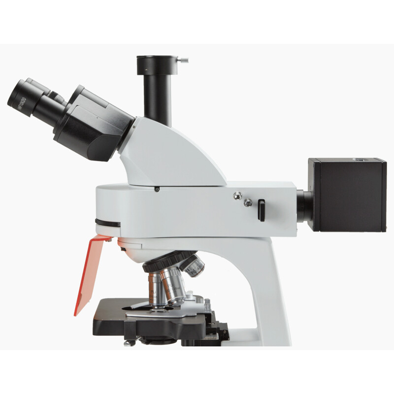 Euromex Microscoop BS.3153-PLFi, trino, 40x-1000x