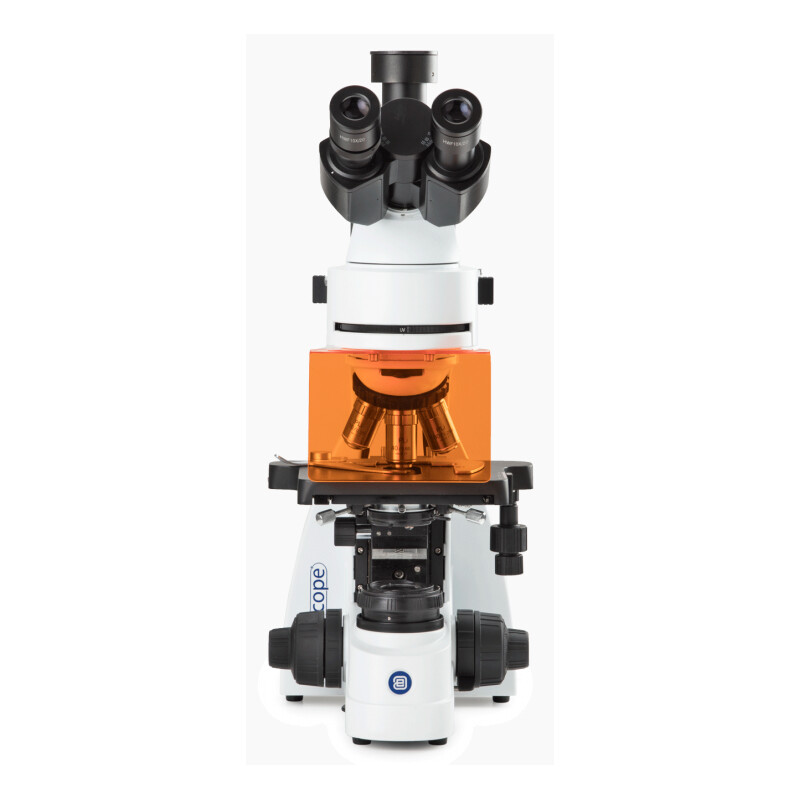 Euromex Microscopio BS.3153-PLFi, trino, 40x-1000x