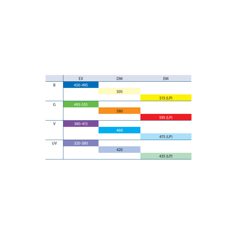 Euromex Microscoop BS.3153-PLFi, trino, 40x-1000x