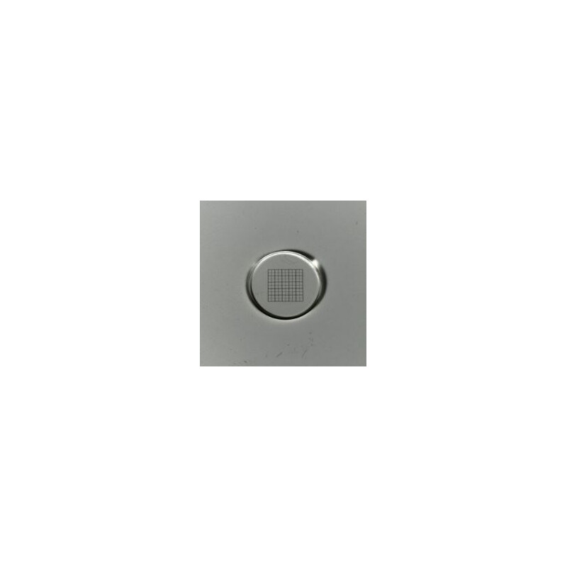 ZEISS Lastra micrometrica Micrometro a rete 10x10/5:10, d=21 mm