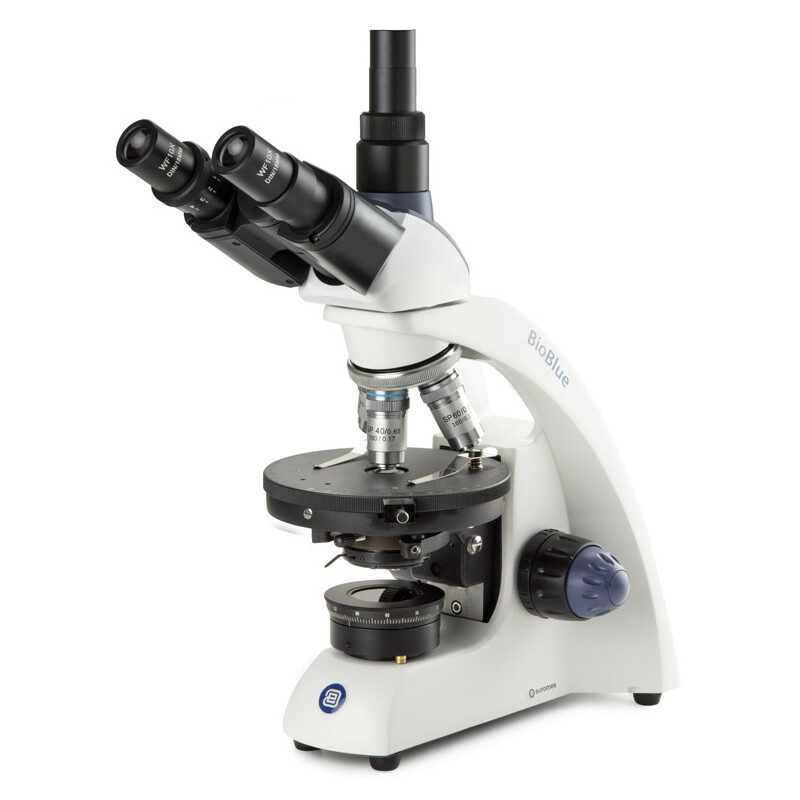 Euromex Microscopio BioBlue, BB.4243-P-HLED, trino, polarizzazione, DIN, 40x-600x, 10x/18, LED, 1W