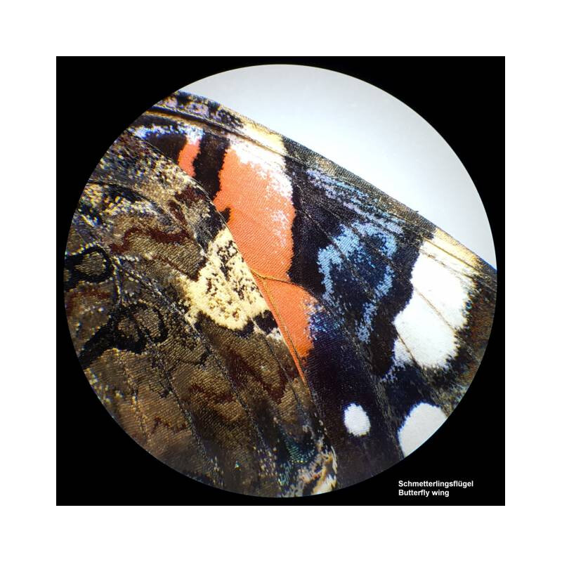Bresser Microscopio stereo Analyth STR 10x-40x bino; Greenough; 50 mm; 10x/20; 10-40x; LED, fotocamera, 2 MP