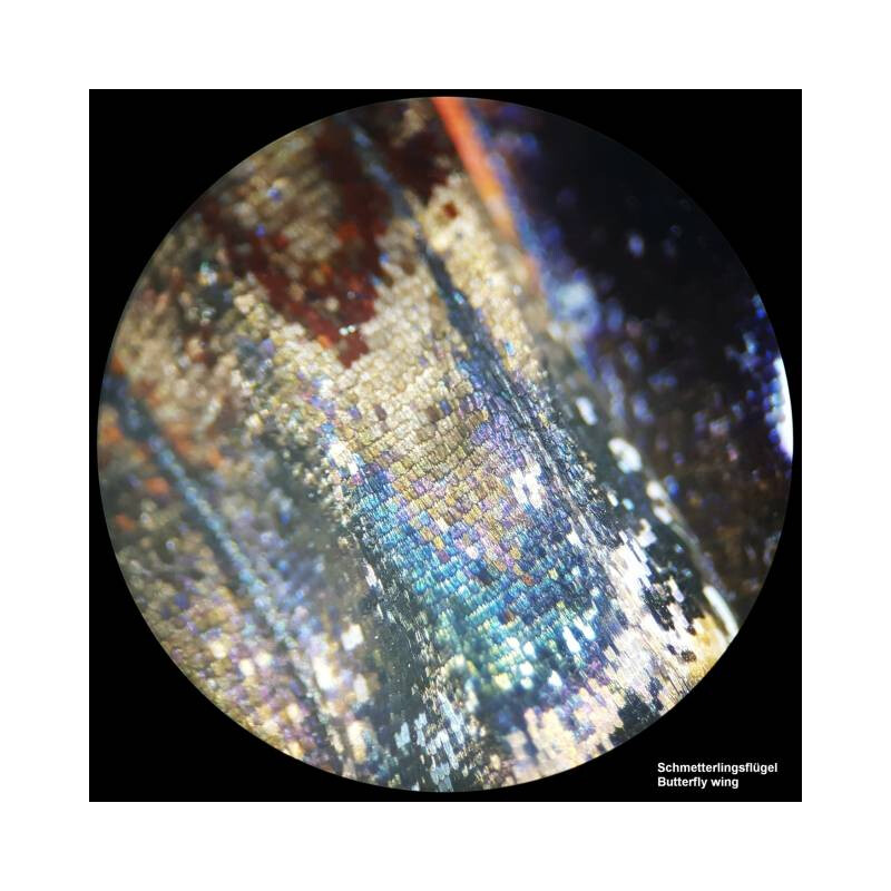 Bresser Microscopio stereo Analyth STR 10x-40x bino; Greenough; 50 mm; 10x/20; 10-40x; LED, fotocamera, 2 MP