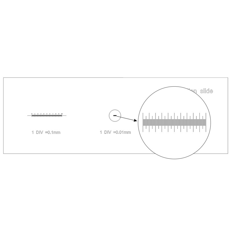 MAGUS Microscoopglaasje voor Calibratie CS3