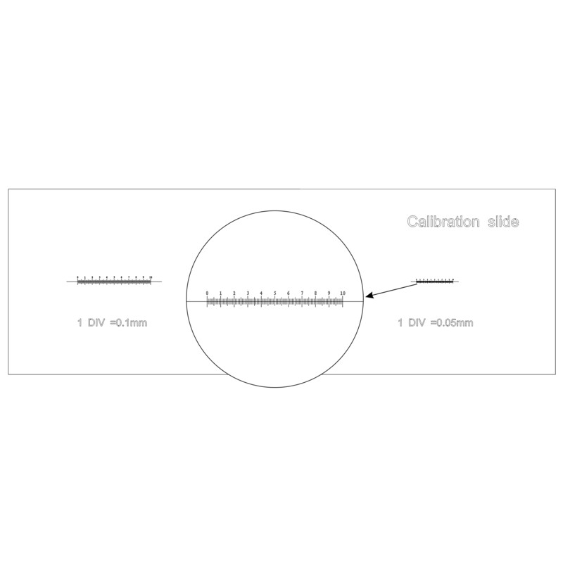 MAGUS Microscoopglaasje voor Calibratie CS3