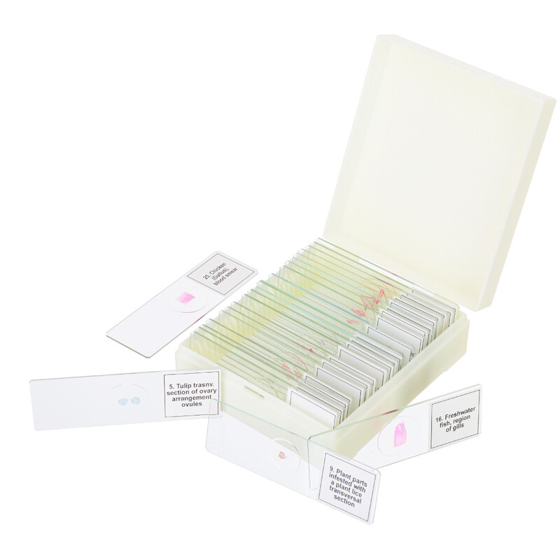 Discovery Kit de lames préparées Prof DPS 25