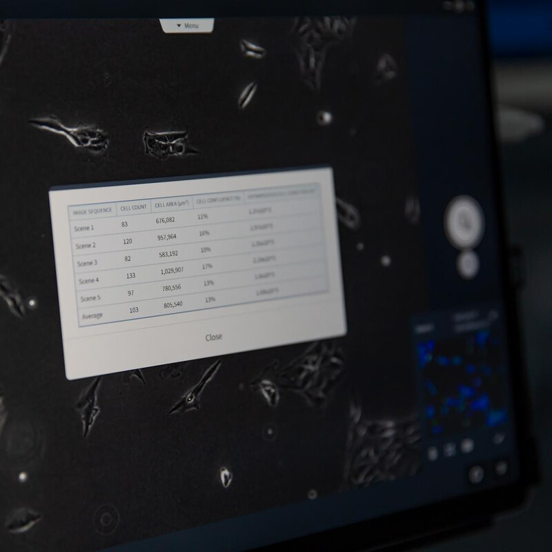 ZEISS Software Labscope Modul AI Cell Counting Chamber DLic