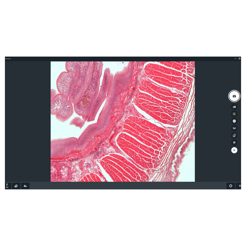 ZEISS Software Labscope Modul AI Cell Counting Chamber DLic