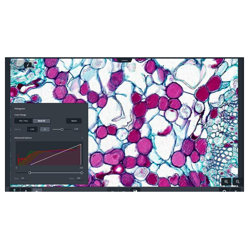 ZEISS Software Labscope Modul AI Cell Counting Chamber DLic