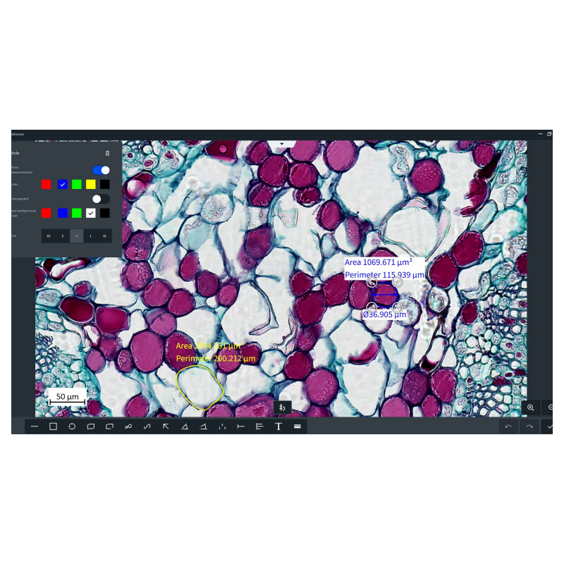 ZEISS Software Labscope Modul AI Cell Counting Chamber DLic